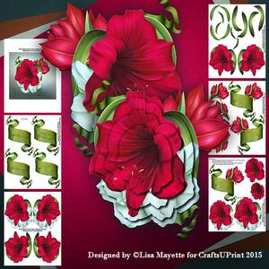 Shaped Amaryllis Card Making Kit