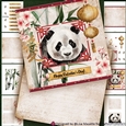 Asian Panda Bear Valentine Card Making Kit