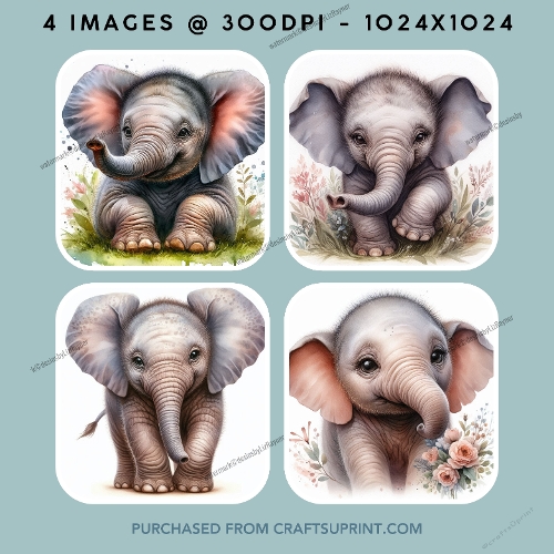 Baby Elephant