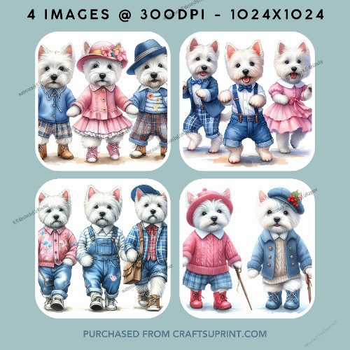 Scottish Terriers Dressed Up Images