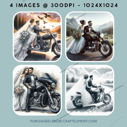 Bride and Groom on a Motorbike
