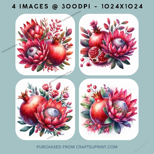 Pomegranate and Protea