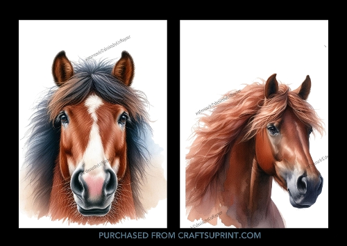 Horse Head