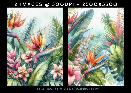 Vibrant Tropical Flowers