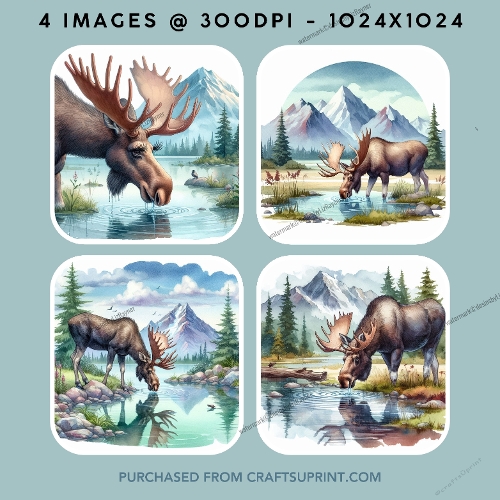 Majestic Moose
