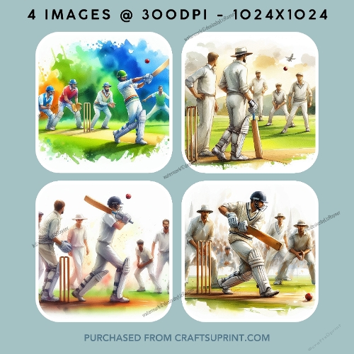 Cricket Match Scene