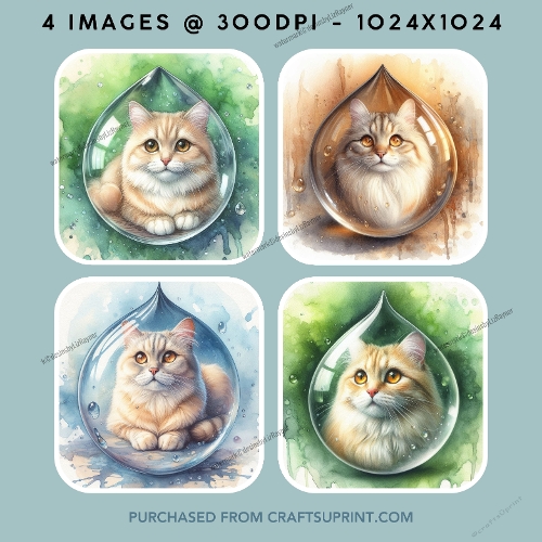  cat in a Teardrop