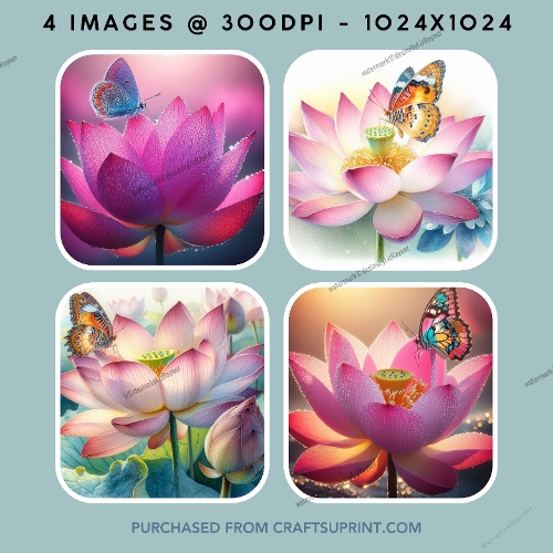 Elegant Pink Lotus & Butterfly