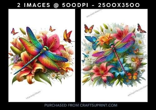 Rainbow-Coloured Dragonflies