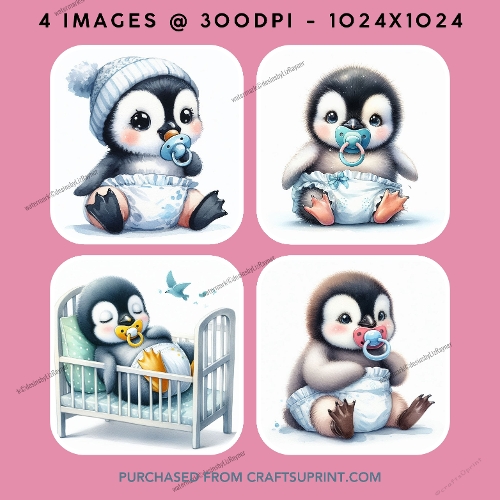Cute Baby Penguin