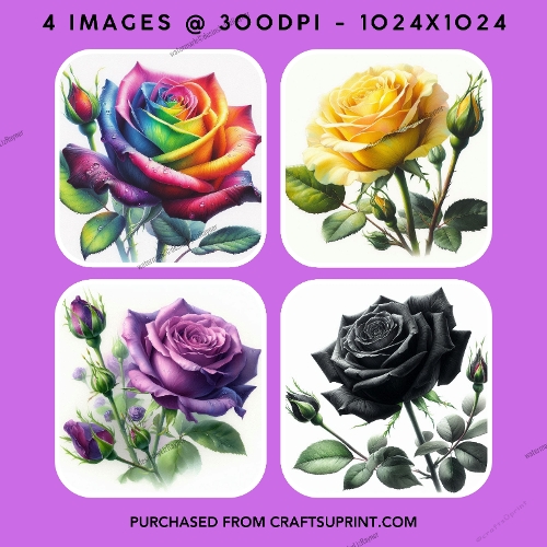 Vibrant Rainbow, Yellow, Purple, and Black Rose