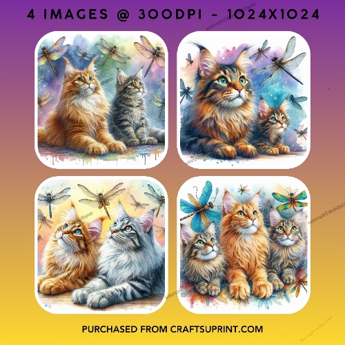 Whimsical Maine Coon Cats and Dragonflies