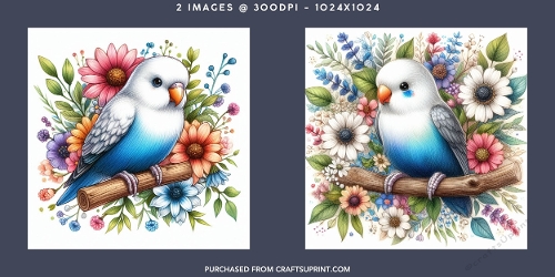 Cute Blue and White Budgie Perched on Branch