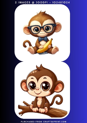 Cute Baby Monkey