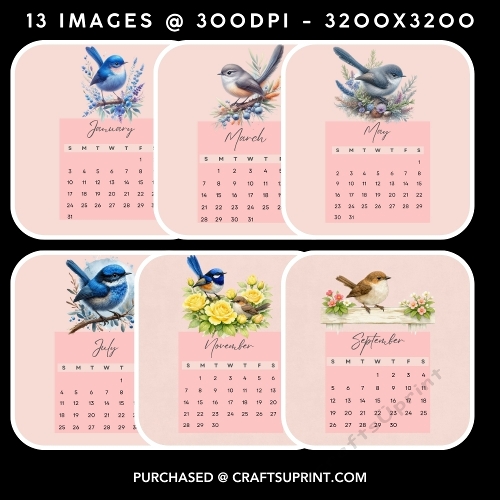 Australian Blue Wren 2027 Calendar Set