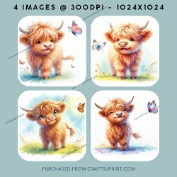 Highland Cow Images