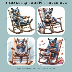 Blue Heeler Sitting on a Rocking Chair