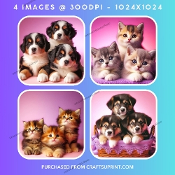 Adorable Fluffy Kittens & Puppies