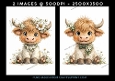 Highland Cows