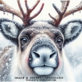 Reindeer Winter Christmas