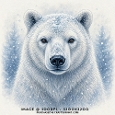 Bear Close Up Portrait Winter Christmas