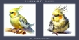 Fluffy Cockatiel Bird Portrait with Orange Cheeks