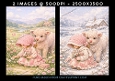 Country Girl and Highland Cow Calf Set 3