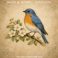 Vintage Watercolour Bluebird on Apple Blossom Branch