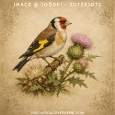 Vintage Watercolour Goldfinch on Thistle Branch