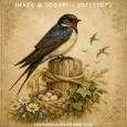 Vintage Watercolour Barn Swallow with Nest and Eggs on Fence Post