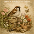 Vintage Watercolour House Sparrow in Secret Garden with Roses