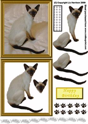 Siamese Cat 3D Decoupage