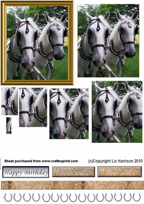 White Horse Pair in Full Harness Pyramid