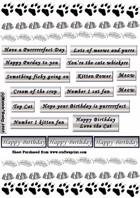 Cat Themed Captions & Borders Silver Grey