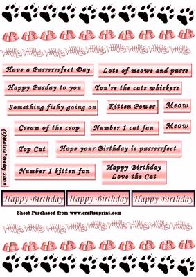 Cat Themed Captions & Borders Pink