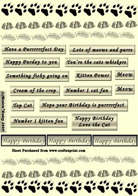 Cat Themed Captions & Borders Cream