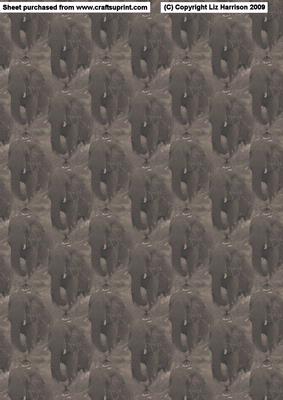 African Elephant Vintage Style Background