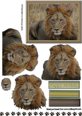 Lion Portrait 3D Decoupage