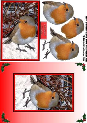 Robin Christmas Card Front with 3D Decoupage