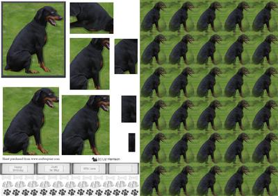 Doberman Pinscher 1 Pyramid with Background