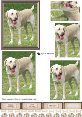 Golden Labrador Dog Pyramid Sheet