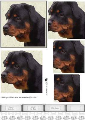 Rottweiler Portrait Pyramid