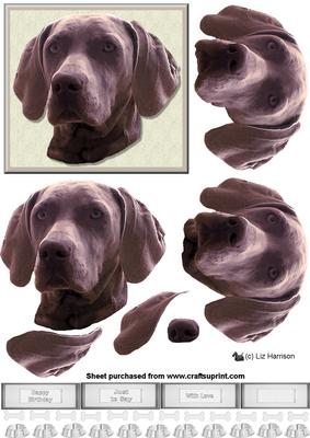Weimaraner Dog Portrait 3D Decoupage