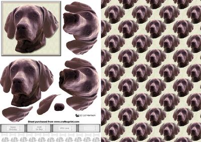 Weimaraner Dog Portrait 3D Decoupage with Background