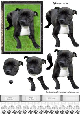 Staffordshire Bull Terrier 3D Decoupage
