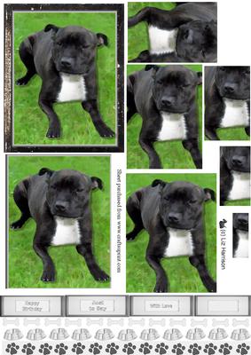 Staffordshire Bull Terrier Dog Pyramid Sheet