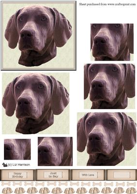 Weimaraner Dog Portrait Pyramid