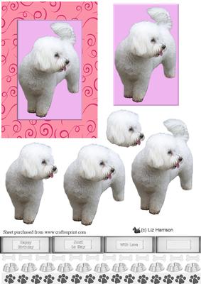 Bichon Frise 3D Decoupage