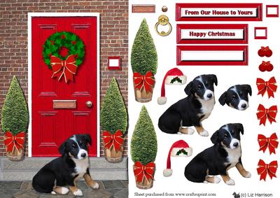 Border Collie Puppy Christmas Door Step