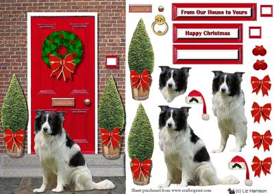 Border Collie on a Christmas Door Step